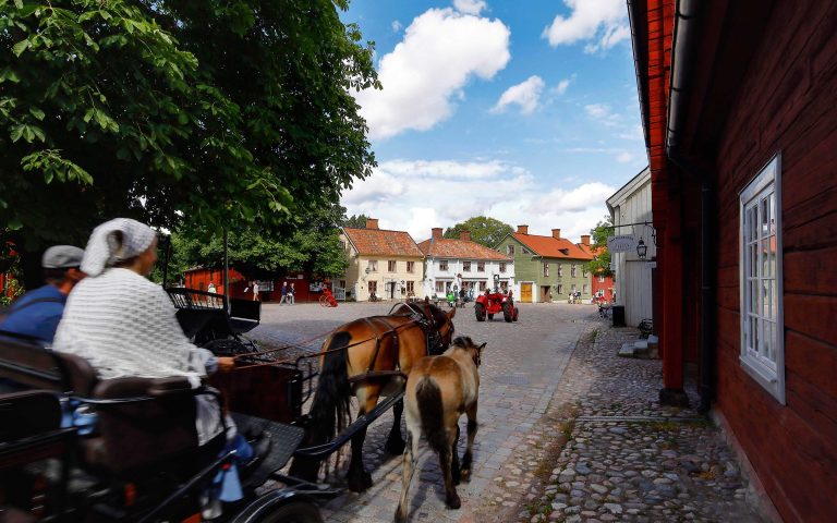 Horses at Gamla Linköping