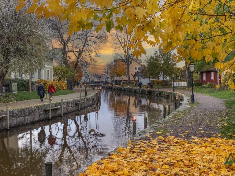 Autumn Trosa stream
