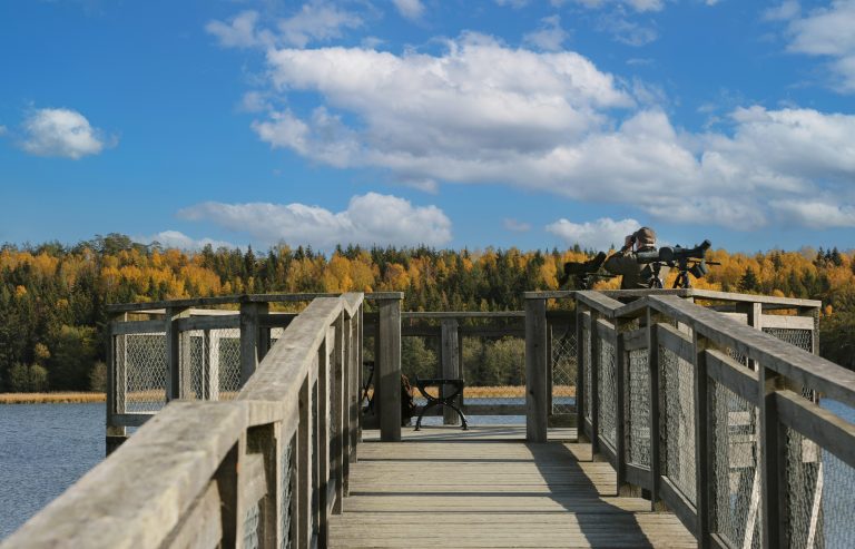 Birds watch near Tullgarn